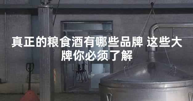 真正的粮食酒有哪些品牌 这些大牌你必须了解